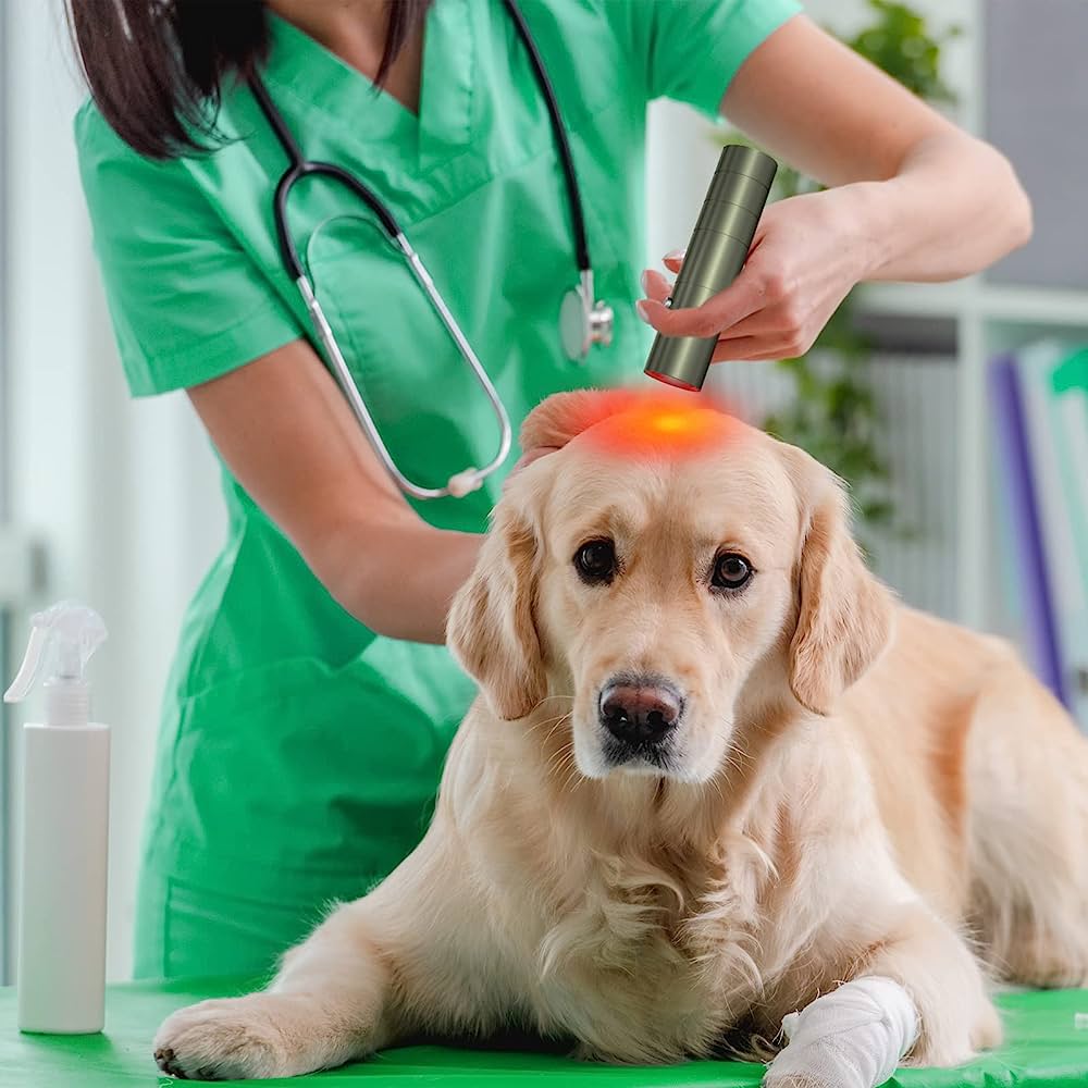 Portable Laser Therapy Device